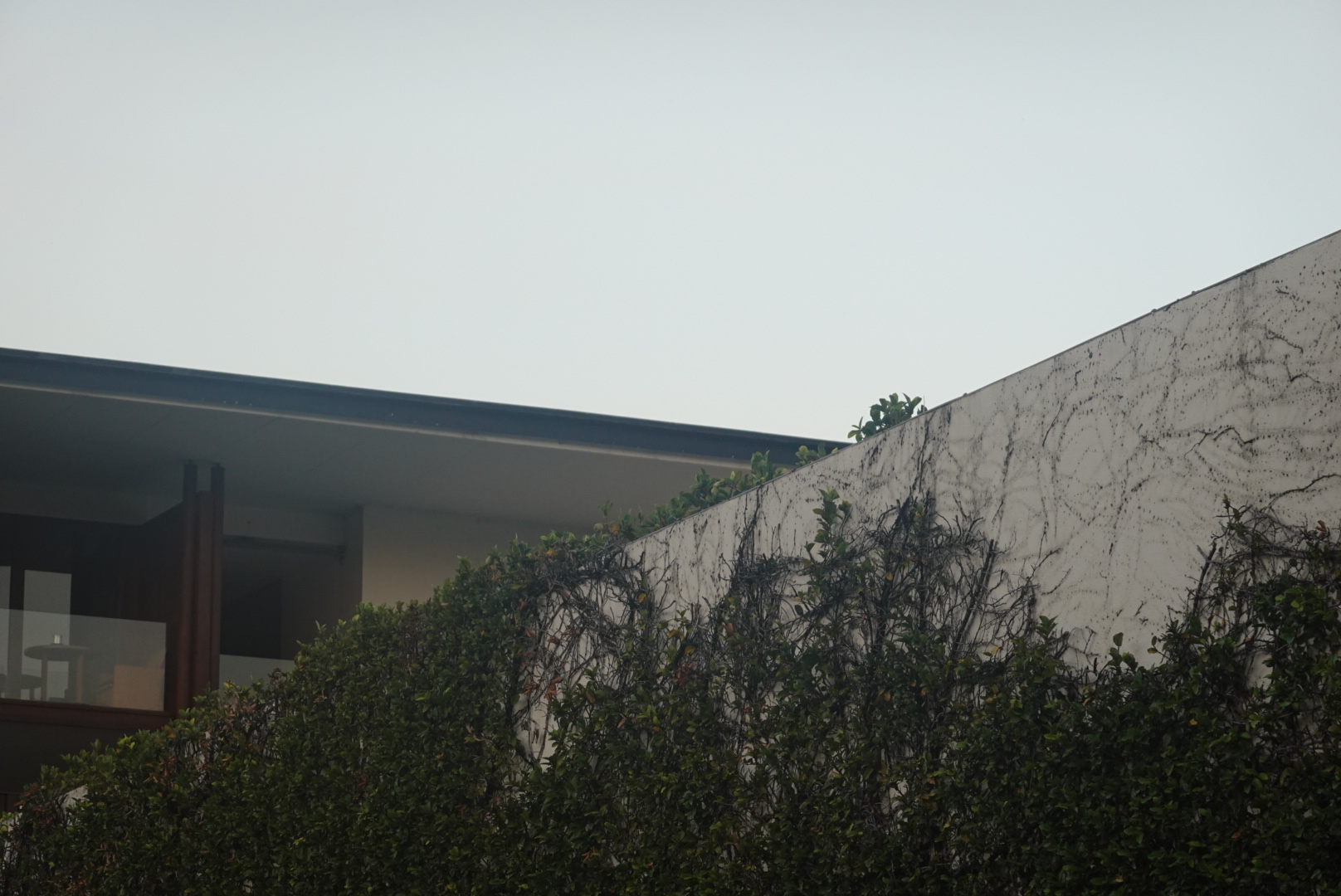 WYRA Visuals project